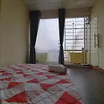 D Home 2